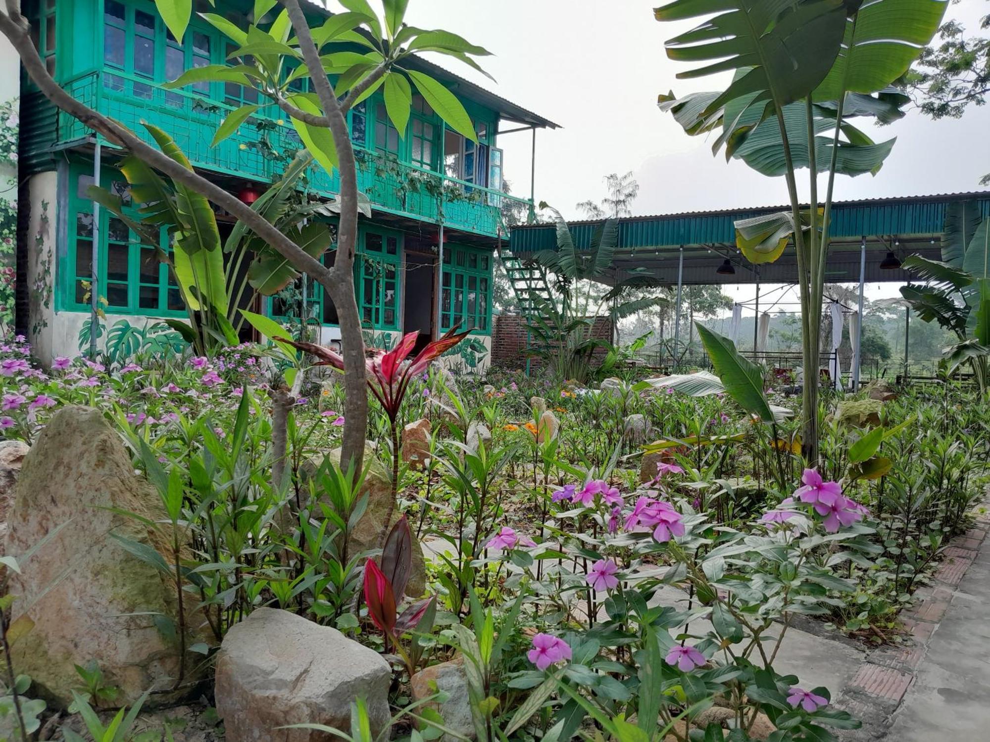 Mina Cafe & Stay Quan Lan Luaran gambar