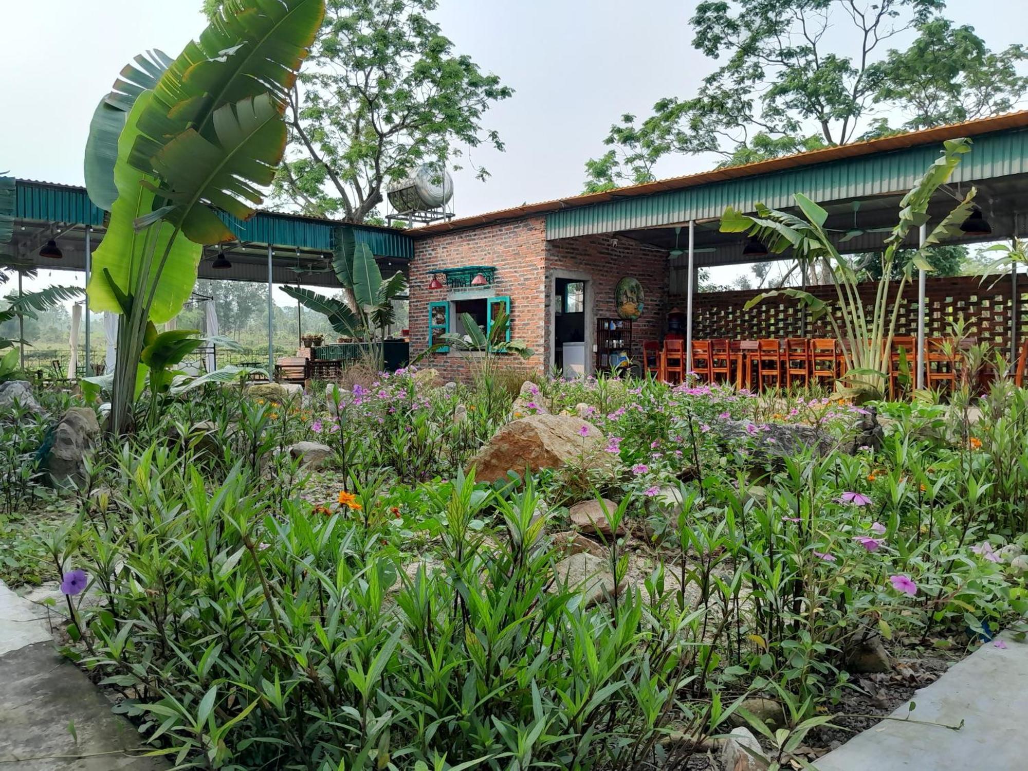 Mina Cafe & Stay Quan Lan Luaran gambar